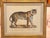Figurative Karl Joseph Brodtmann Lithographs of Big Cats - A Pair For Sale - Image 3 of 9