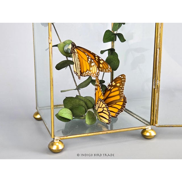 Vintage Handmade Centerpiece Real Butterflies in the Glass Curio Cabinet This beautiful art object features two real...
