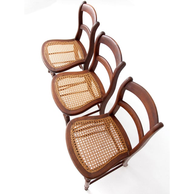 Antique Cane Seat Dining Chairs Set of 3 For Sale - Image 4 of 14