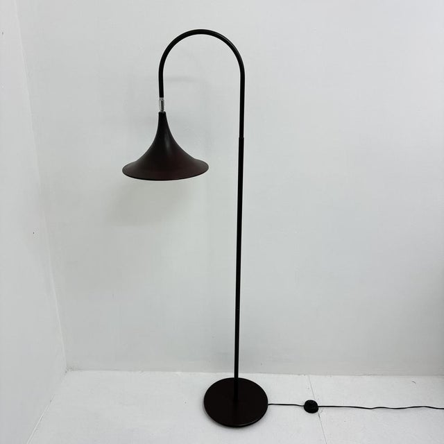 Minimalist Dutch Hala Zeist Trumpet Brown Floor Lamp, 1970s For Sale - Image 9 of 18