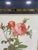 Set of Six Framed Redoutè Rose Botanical Prints For Sale In New York - Image 6 of 7