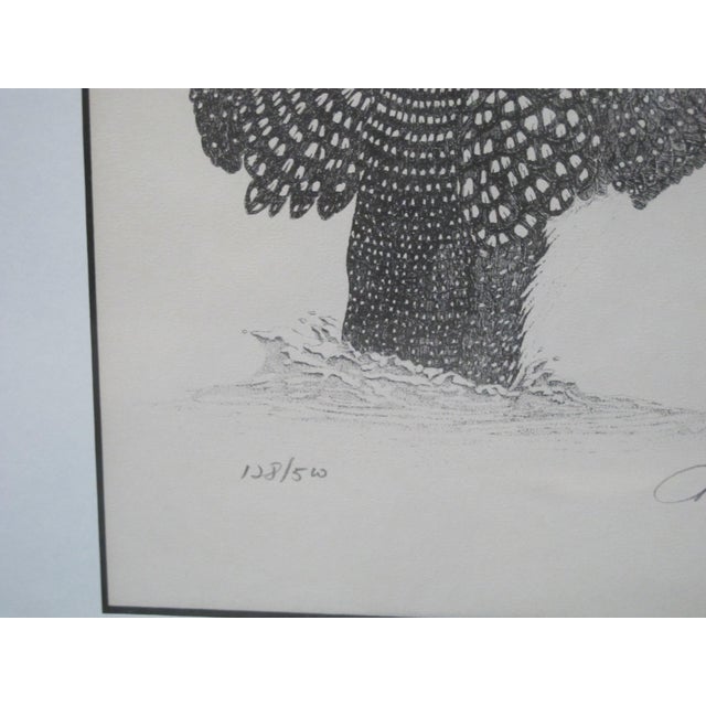 Pennsylvania Martin May Signed Limited Edition Framed Common Loon Print One Day For Sale - Image 4 of 5