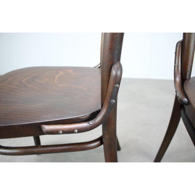 Wood Bentwood Chairs from Thonet, Former Czechoslovakia, 1920s, Set of 2 For Sale - Image 7 of 15