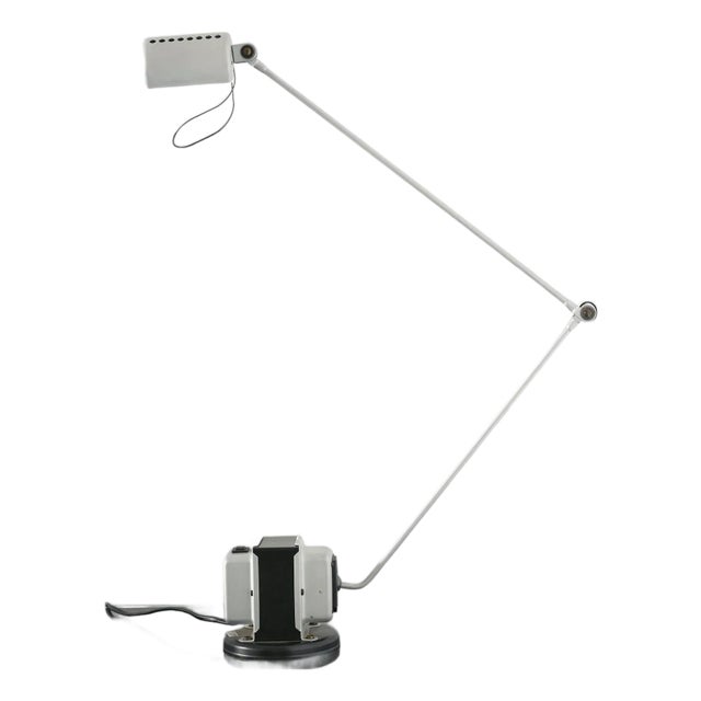 Daphine Lamp by Tommaso Cimini, 1975 For Sale