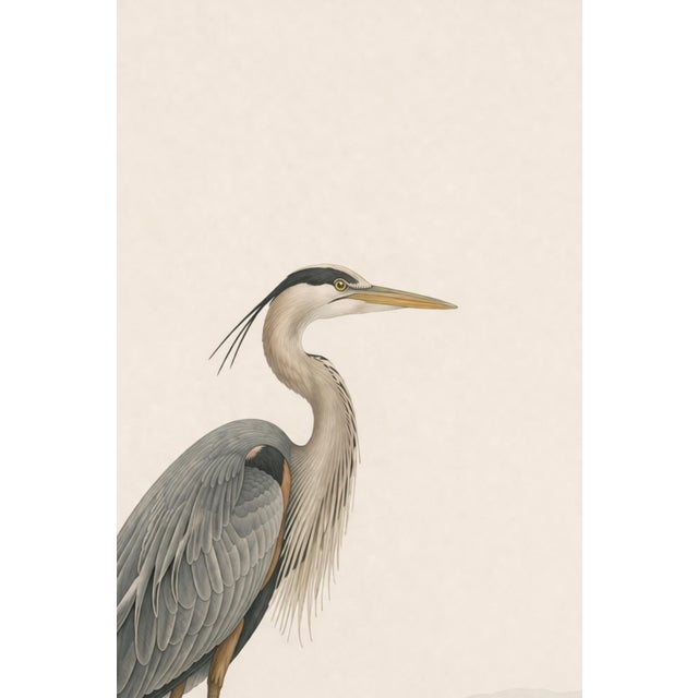 Paper Great Blue Heron Coastal Study, Neutral Bird Wall Art Print, 24″ × 36″ Reproduction For Sale - Image 7 of 10