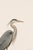 Paper Great Blue Heron Coastal Study, Neutral Bird Wall Art Print, 24″ × 36″ Reproduction For Sale - Image 7 of 10