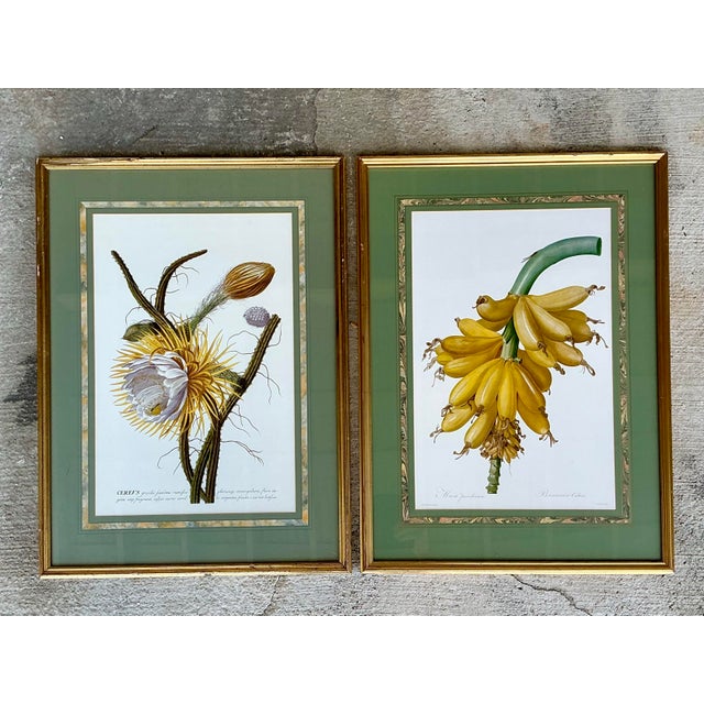 Wood Vintage Ehret Botanical Plates - Set of 2 For Sale - Image 7 of 12