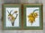 Wood Vintage Ehret Botanical Plates - Set of 2 For Sale - Image 7 of 12