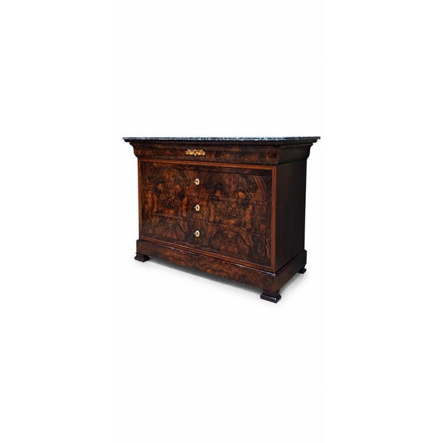 Louis Philippe Chest of Drawers in Burr Walnut, 1840s For Sale - Image 6 of 16