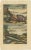 Various Fish Species and Other Marine Life, 1726, Paper, Set of 12 For Sale - Image 12 of 14