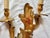 Mid-Century Louis XV Rocaille Style Gilt Bronze Sconces, France, Set of 2 For Sale - Image 6 of 18