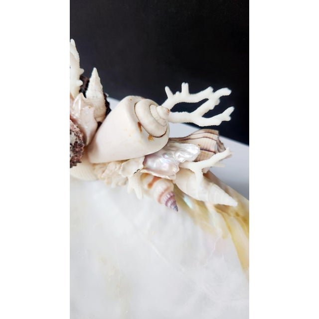 Handcrafted Oyster Shell Tray With Vintage Seashell Specimens & Biwa Pearls — Coastal Sculptural Object For Sale - Image 4 of 12