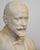 Gentleman Portrait Bust in Marble For Sale - Image 4 of 10