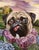 Purple Rose of Cujo by Claudia Griesbach-Martucci | Oil Painting of a pug surrounded by roses. For Sale