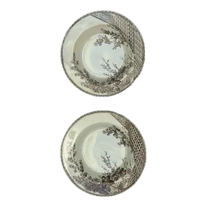 Set of 2 - j.m.& S. Gem Ironstone Transferware C. 1837-1889