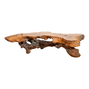 Vintage American Primitive Burlwood Live Edge Coffee Table