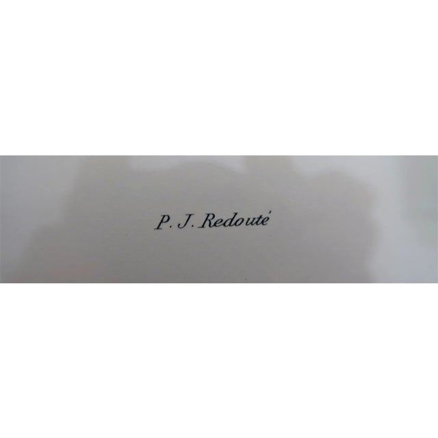 Wood Vintage Burlwood Framed Botanical Print Pierre-Joseph Redoute - a Pair For Sale - Image 7 of 8