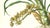 Limited edition reproduction print of one of the most famous botanical works ever produced, "The Orchidaceae of Mexico and...