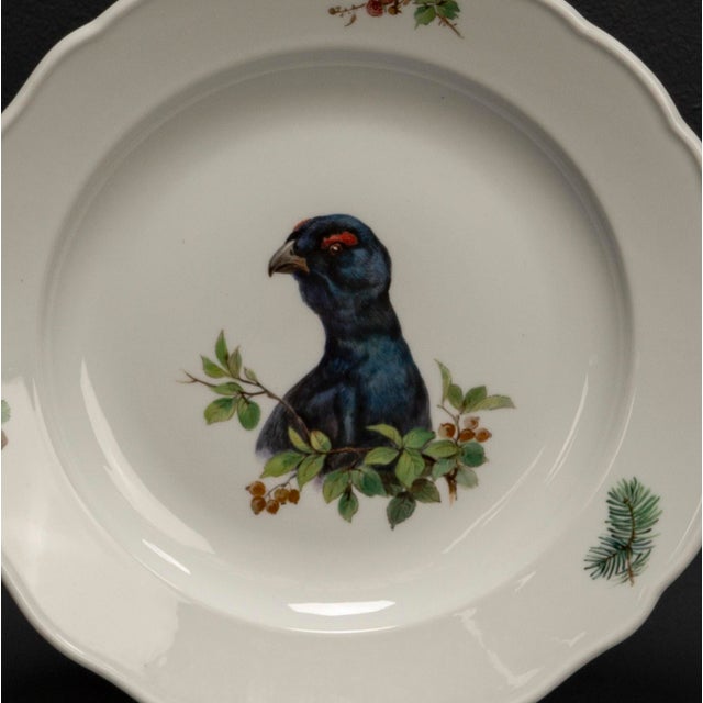 Vintage Hand-Painted Porcelain Plates with Animal Motifs from Meissen, 2010s, Set of 3 For Sale - Image 9 of 12