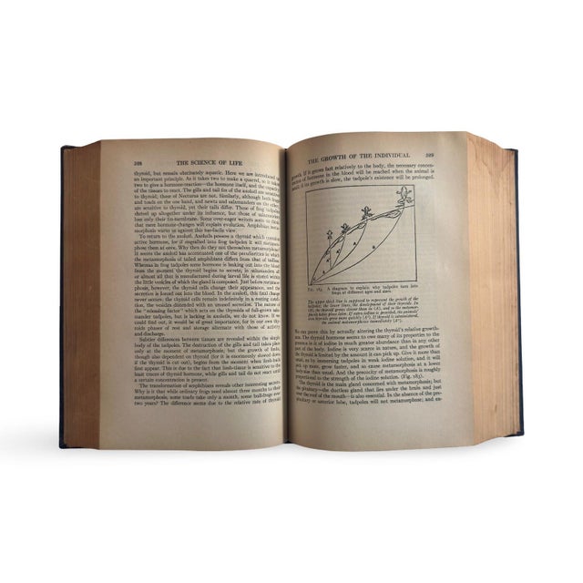 1930s the Science of Life by Hg Wells, Huxley & Wells, Deep Blue Clothbound Classic With Illustrations For Sale - Image 4 of 9