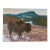 American Original Oil Painting of Bison For Sale