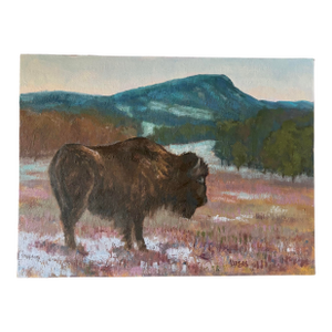 American Original Oil Painting of Bison