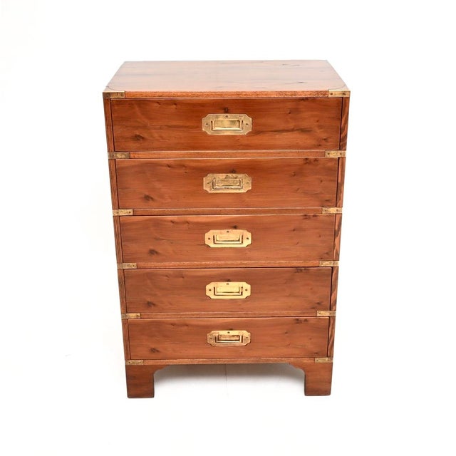 Antique Military Campaign Yew Wood Chest of Drawers, 1930s For Sale - Image 3 of 11