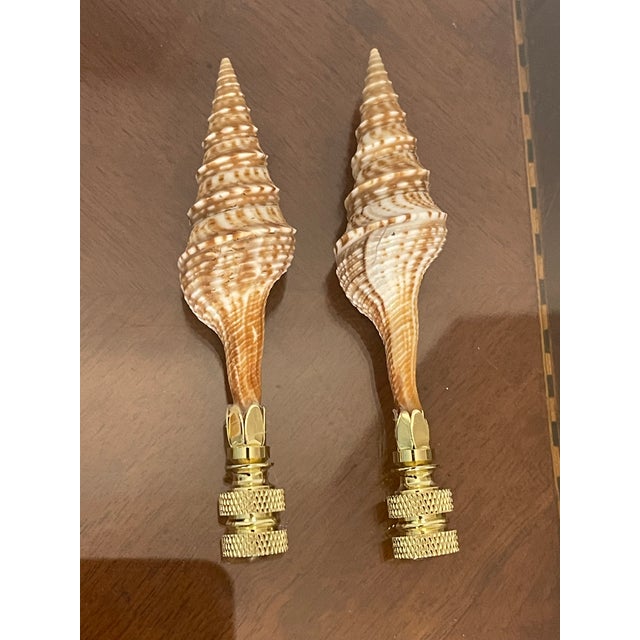 Beautiful sea shells pair on brass bases as lamp finials.