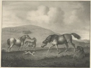 Horse Showing the Passion Affection, 1827, Paper