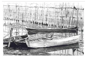 Harold Miller Null, Rowing Boats, Original Photograph, 1950s