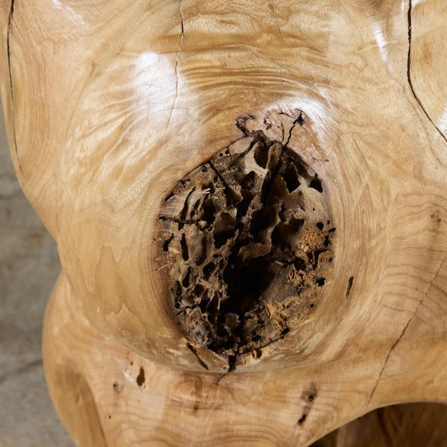 Biomorphic Wood Sculpture For Sale - Image 11 of 12