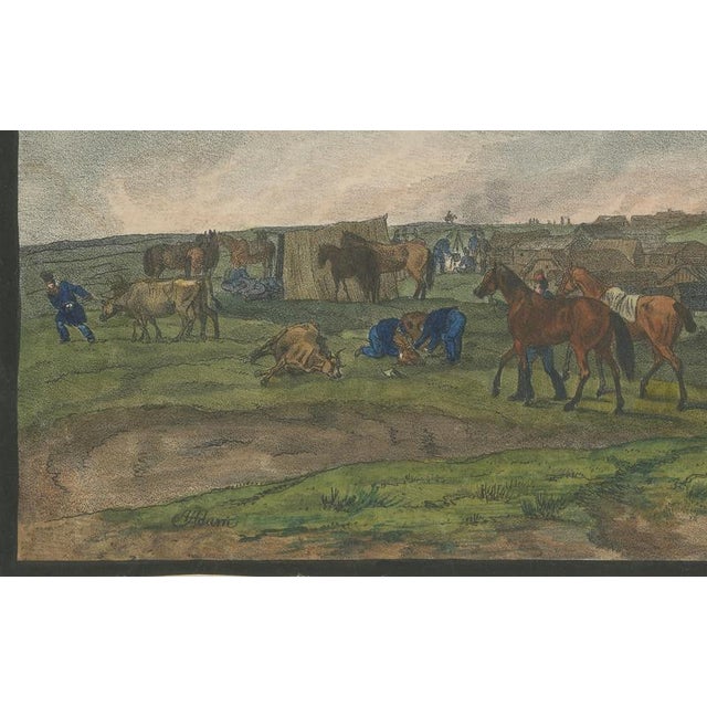 Napoleonic Military Encampment, 1810, Hand-Coloured Panoramic Aquatint, Framed For Sale - Image 5 of 12