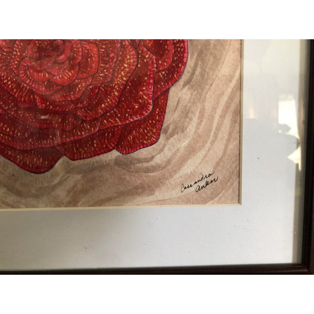 Contemporary Vintage Original Framed Signed Drawing by CL Auker, Ink and Watercolor, “Cosmic Rose” For Sale - Image 3 of 4