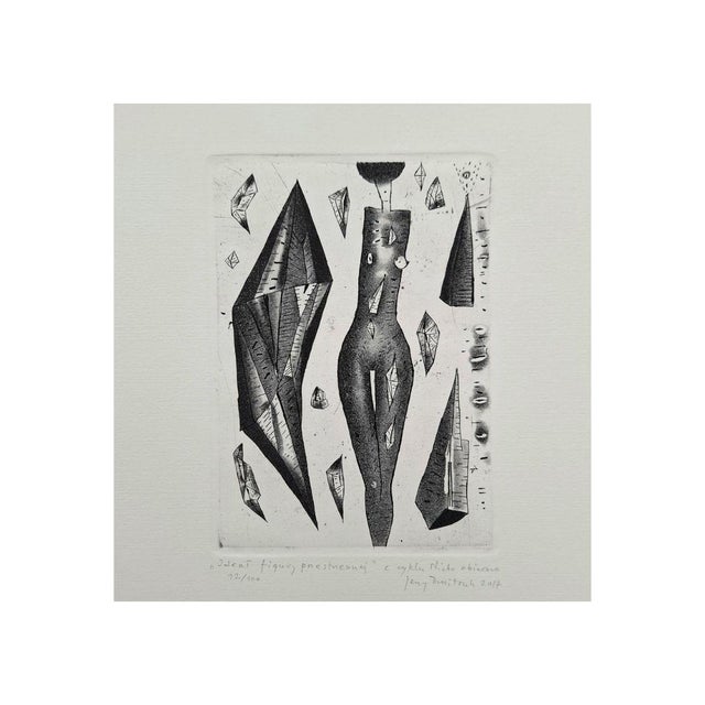 Jerzy Dmitruk is a Polish artist born in 1960. He studied at the Academy of Fine art of Krakow, were he obtained a degree...