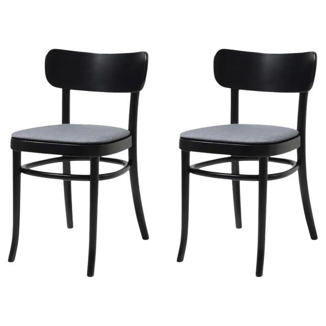Set of MZO Chairs by Mazo Design For Sale