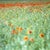 Fine art Giclee prints on Hahnemuhle Photo Rag 308gsm - a 100% cotton, acid-free, mould-made paper. Printed to Fine Art...