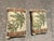 Hollywood Regency Vintage Tropical Palm Tree Pillows- 2 For Sale - Image 3 of 5