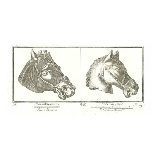 Horses Heads, Ancient Roman Bas-Reliefs, Original Etching, 18th-Century For Sale