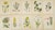 Set of ten antique botanical color lithographs from Carl Axel Magnus Lindman’s celebrated Bilder ur Nordens Flora,...