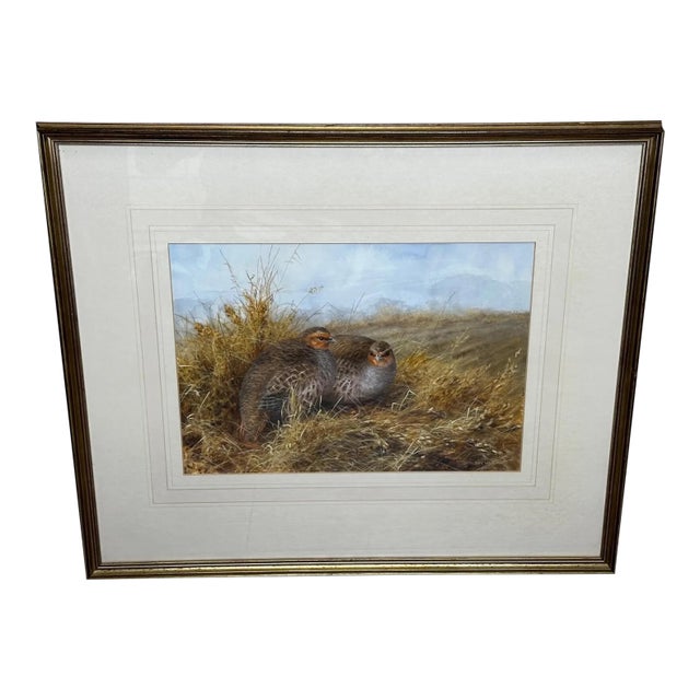 British Ornithology Watercolor of Grey Partridges in New Forest Moor in the Manner of Archibald Thorburn For Sale