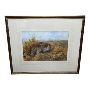 British Ornithology Watercolor of Grey Partridges in New Forest Moor in the Manner of Archibald Thorburn