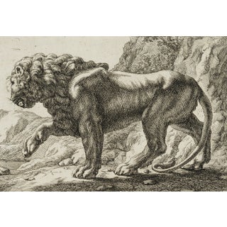 J. Meyer, Pacing Lion, 17th-Century, Etching For Sale