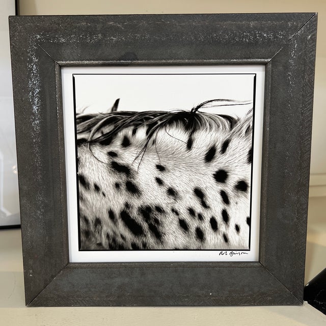 "Spotted Mane" Limited Edition Print by Rob Brinson For Sale - Image 13 of 13