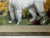 Portrait Painting White Poodle Dog With Rhododendron Flowers by Charles Frederick Tunnicliffe For Sale - Image 10 of 12