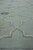Early 21st Century Turkish Oushak Runner Rug 2'10" x 14'4" #17877 For Sale - Image 5 of 8