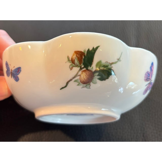 Traditional Limoge Small Melon Bowl, “Mon Jardin” by Ceralene Raynaud Botanical Depicting Insects. For Sale - Image 3 of 9