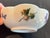 Traditional Limoge Small Melon Bowl, “Mon Jardin” by Ceralene Raynaud Botanical Depicting Insects. For Sale - Image 3 of 9