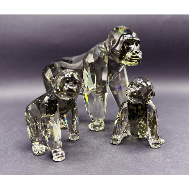 Glass SCS Annual Edition 2009 Gorillas Family from Swarovski, Set of 3 For Sale - Image 7 of 18