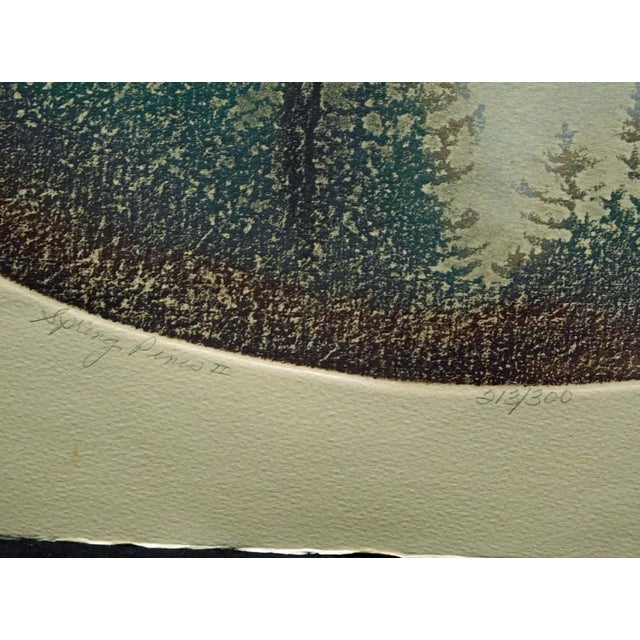 Catherine O'Connor "Spring Pines I & Ii" 2 Hand Signed Fine Art Etchings, Trees For Sale - Image 10 of 12