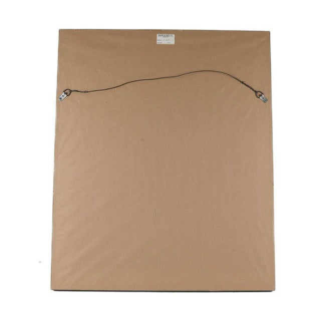 Late 19th Century Framed Etching by Johann J. Scheuchzer, Titled "Calamus Aromaticus Casiais" For Sale - Image 4 of 9